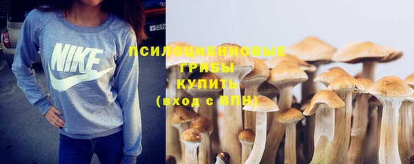 скорость Зеленокумск