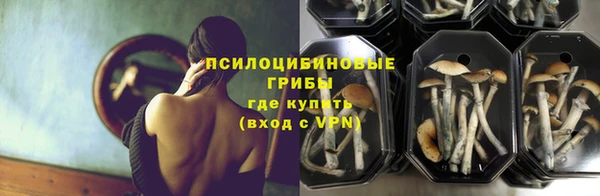 дживик Балахна