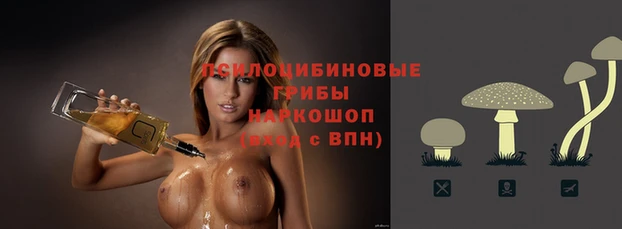 трава Баксан