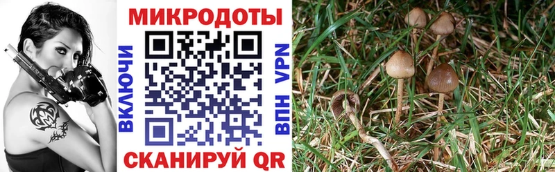Псилоцибиновые грибы ЛСД  где продают   ссылка на мегу   Переславль-Залесский 